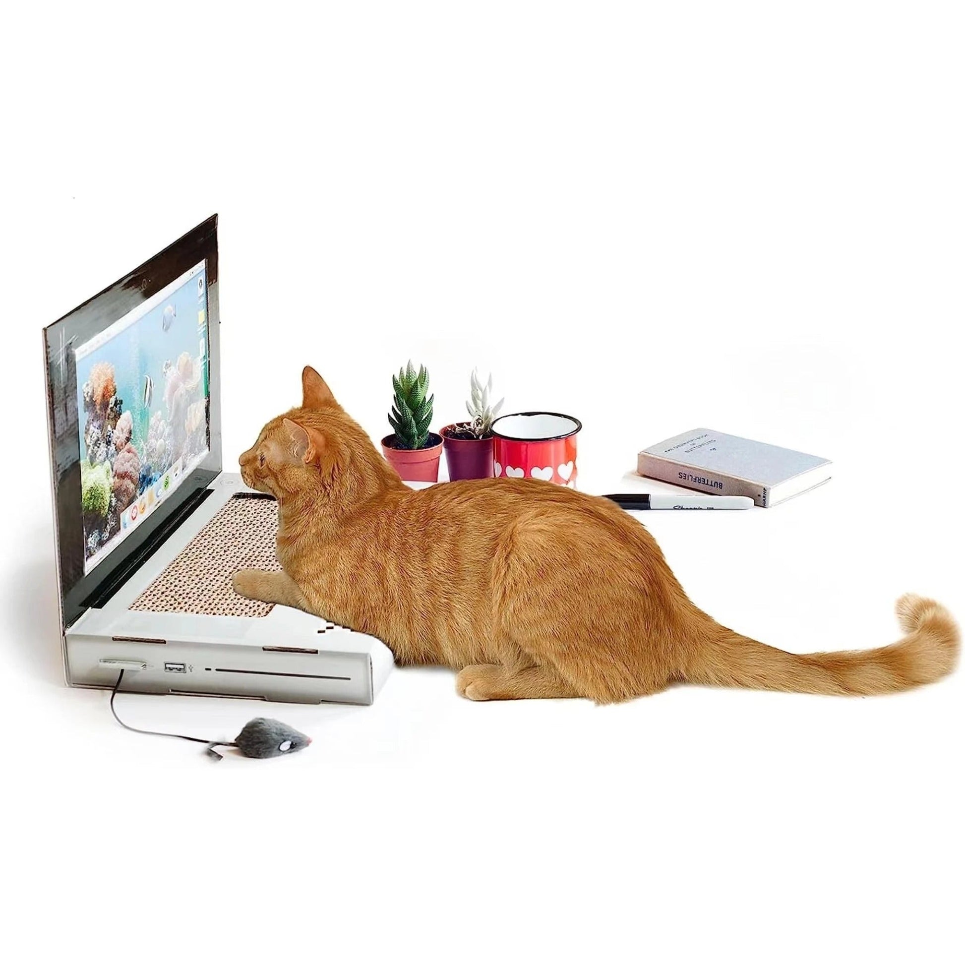 KFX-8023613 Cat Scratch Board Notebook Made of Wear-Resistant Corrugated Paper - Size 31*22*5cm
