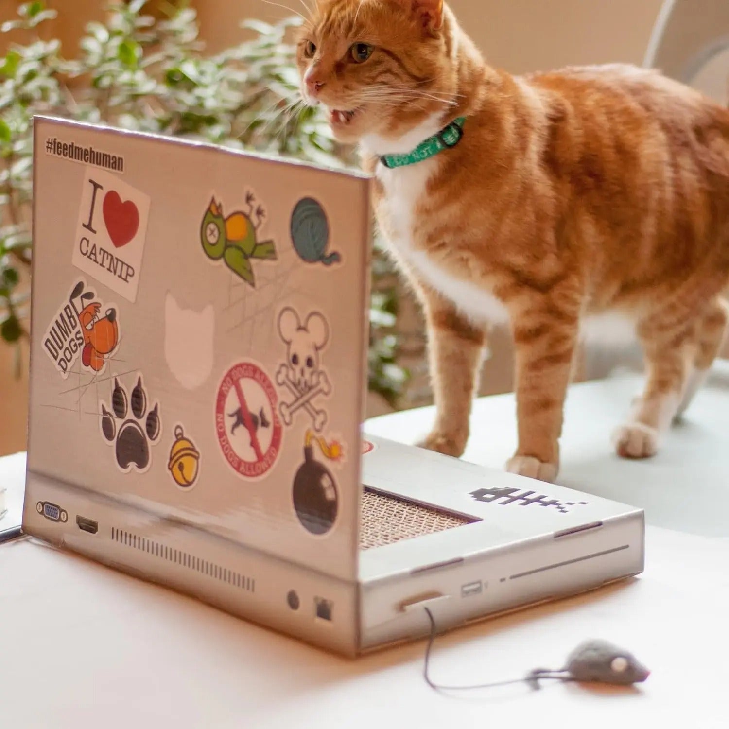 KFX-8023613 Cat Scratch Board Notebook Made of Wear-Resistant Corrugated Paper - Size 31*22*5cm