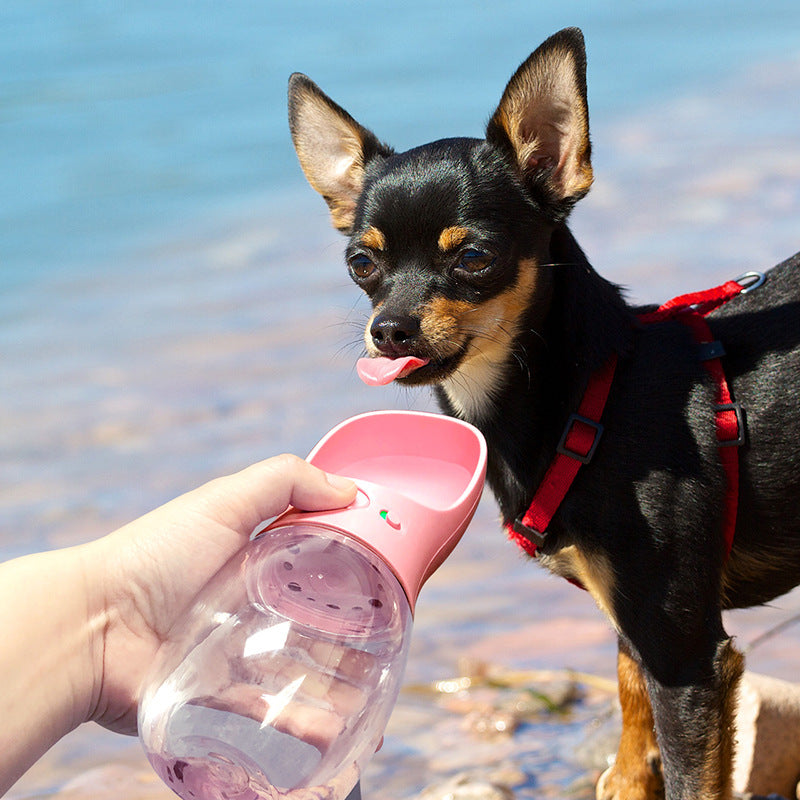 KFX-8029245 Portable Handheld Drinking Fountain for Dogs and Cats – Food Grade Materials, Multiple Sizes Available