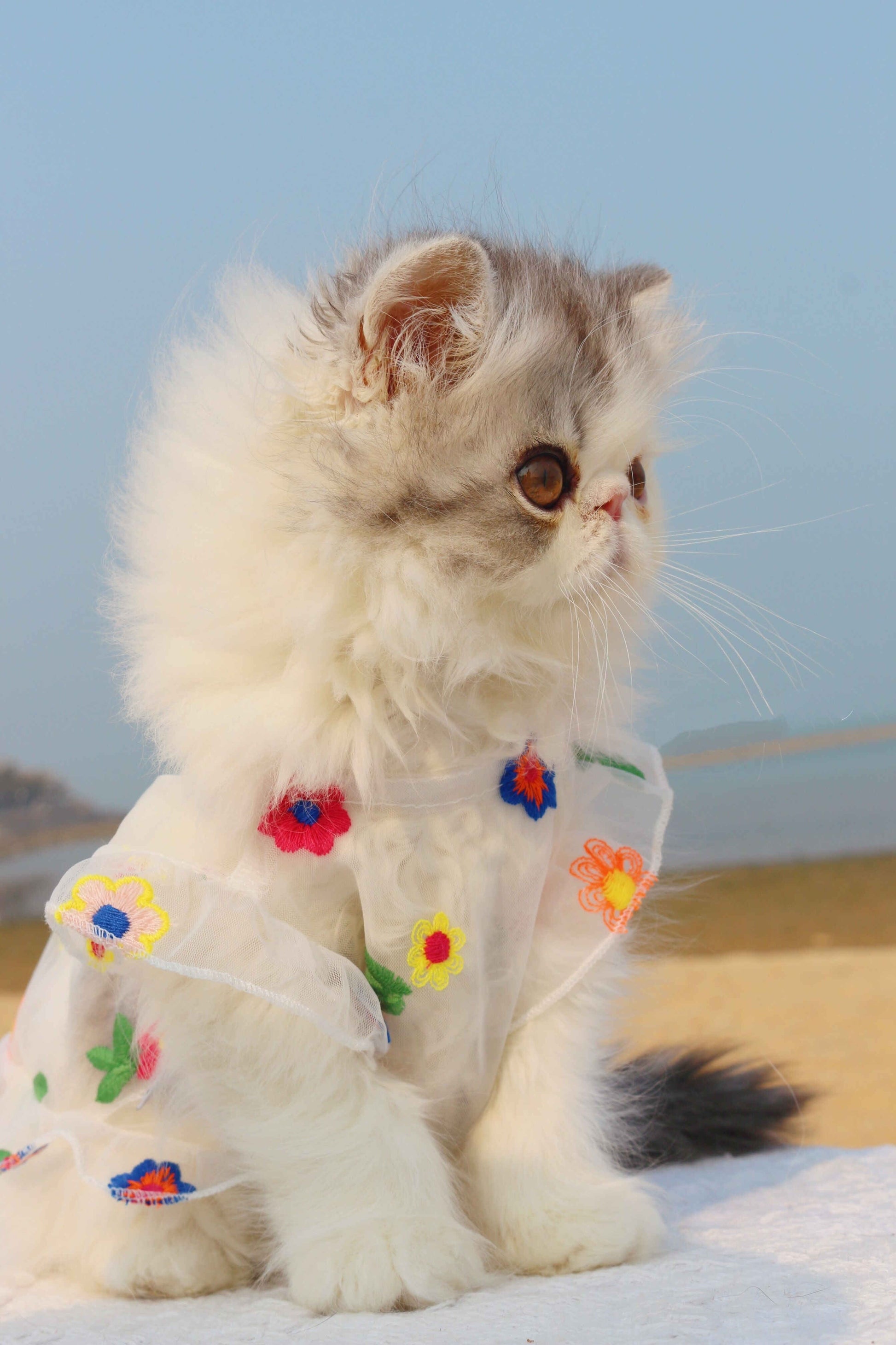 KFX-8030781 Flower Embroidery Dress for Cats with Hand-Woven Straw Hats