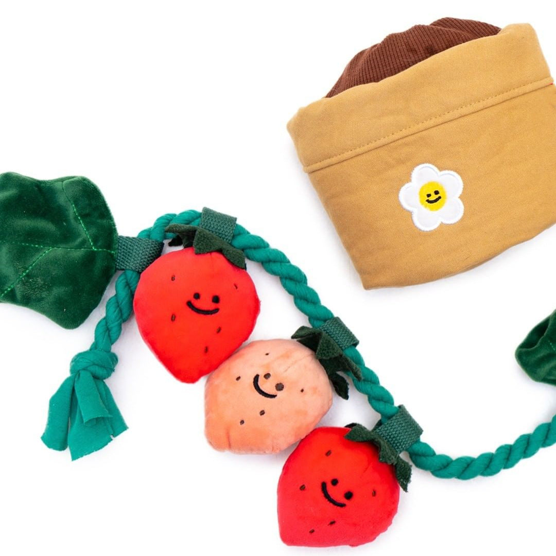 KFX-8039741 Strawberry Potted Plant Plush Toy with Hidden Treats for Pets