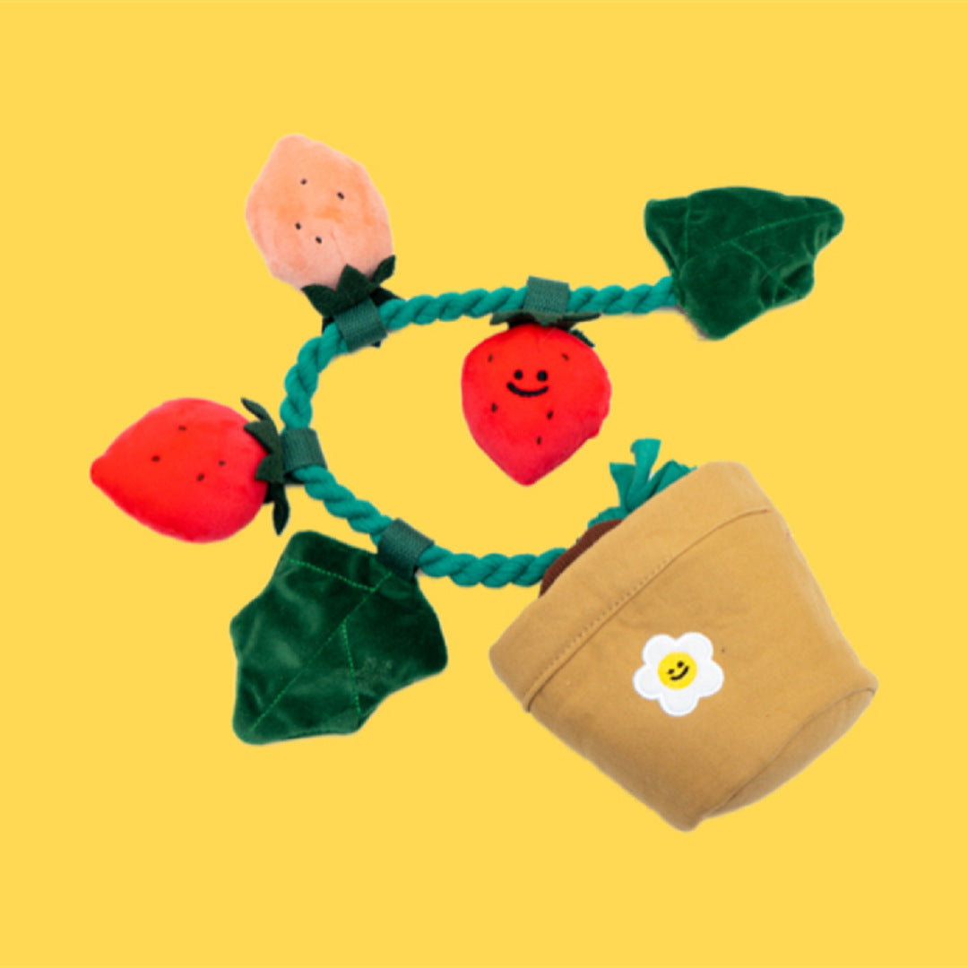 KFX-8039741 Strawberry Potted Plant Plush Toy with Hidden Treats for Pets