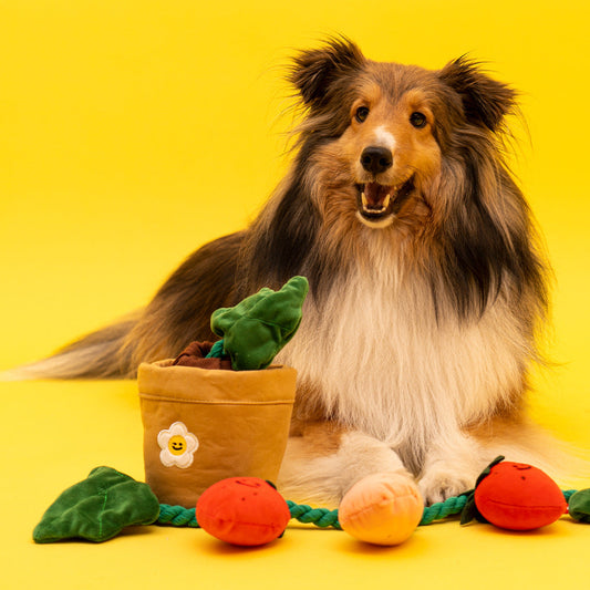 KFX-8039741 Strawberry Potted Plant Plush Toy with Hidden Treats for Pets