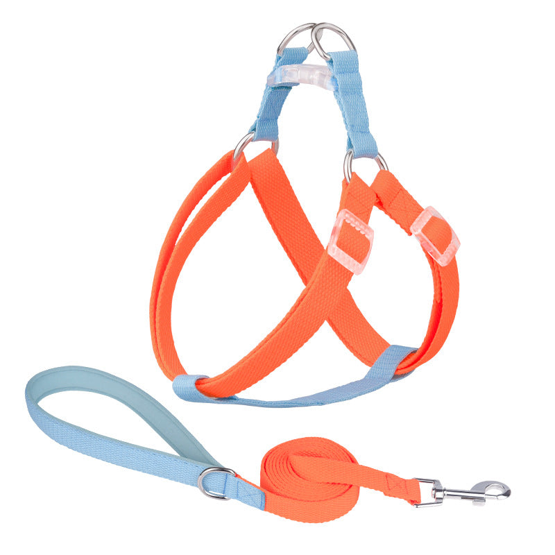 KFX-8043965 Dog Traction Rope for Small and Medium Pets - Multiple Color Sets Available