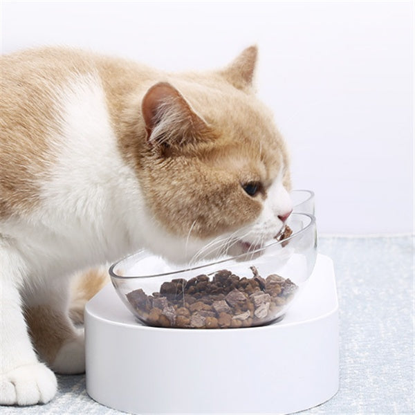 KFX-8044861 15° Adjustable Cat Bowl – Single & Double Options with Durable Plastic Design