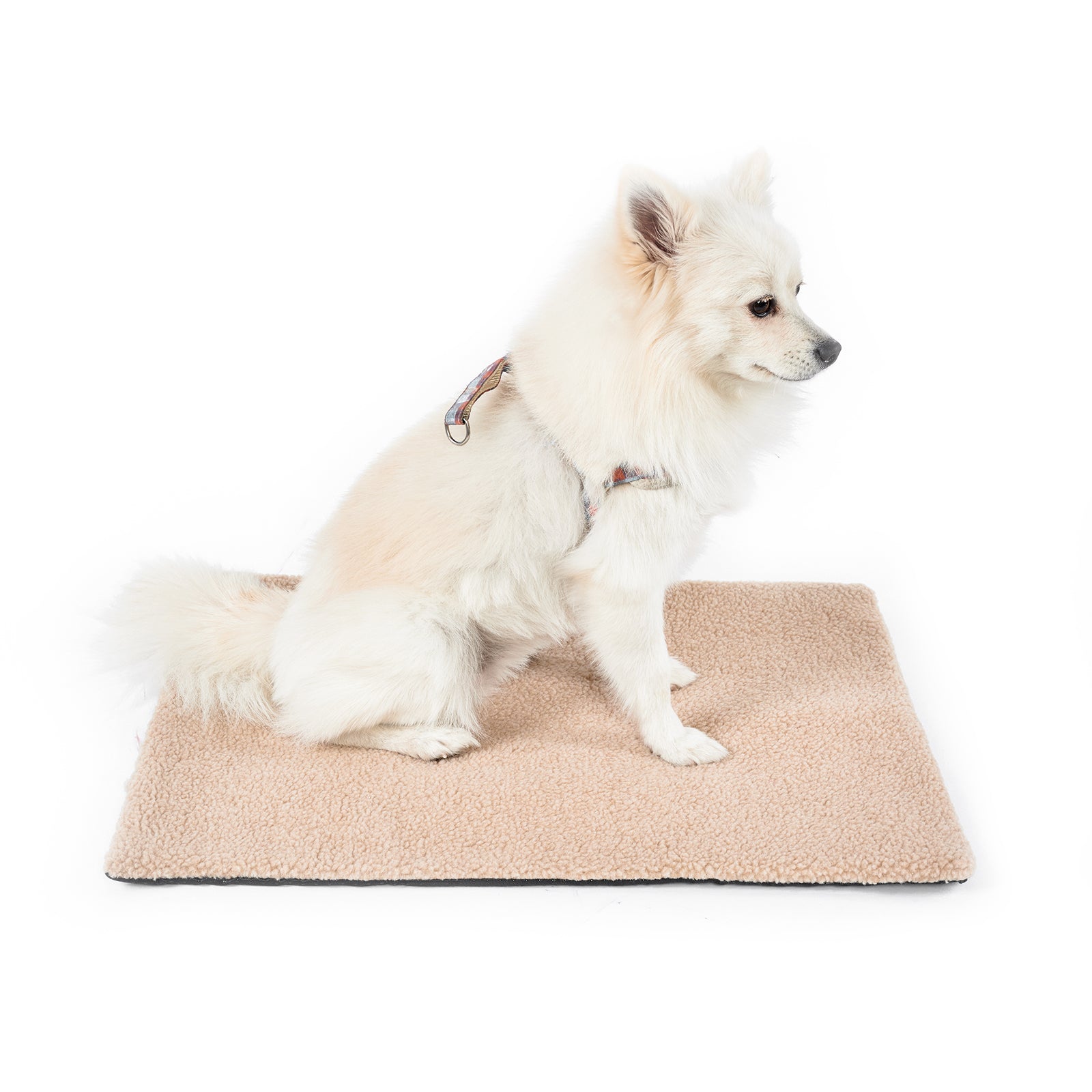 KFX-8046525 Self Heating Plush Pet Blanket for Indoor Cats - Cozy Winter Cushion Mat