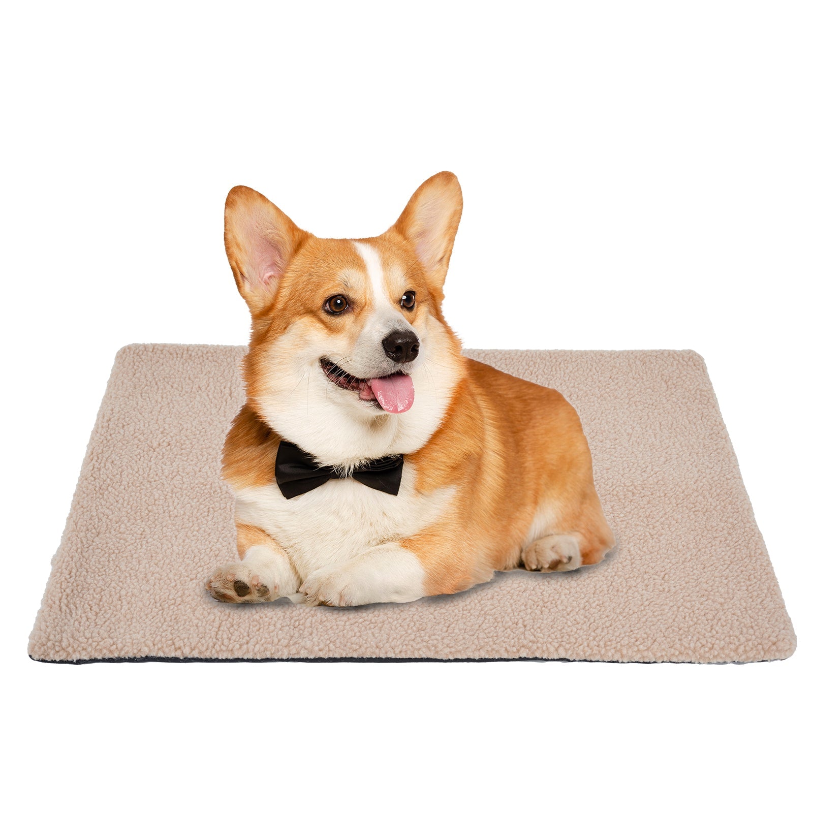 KFX-8046525 Self Heating Plush Pet Blanket for Indoor Cats - Cozy Winter Cushion Mat