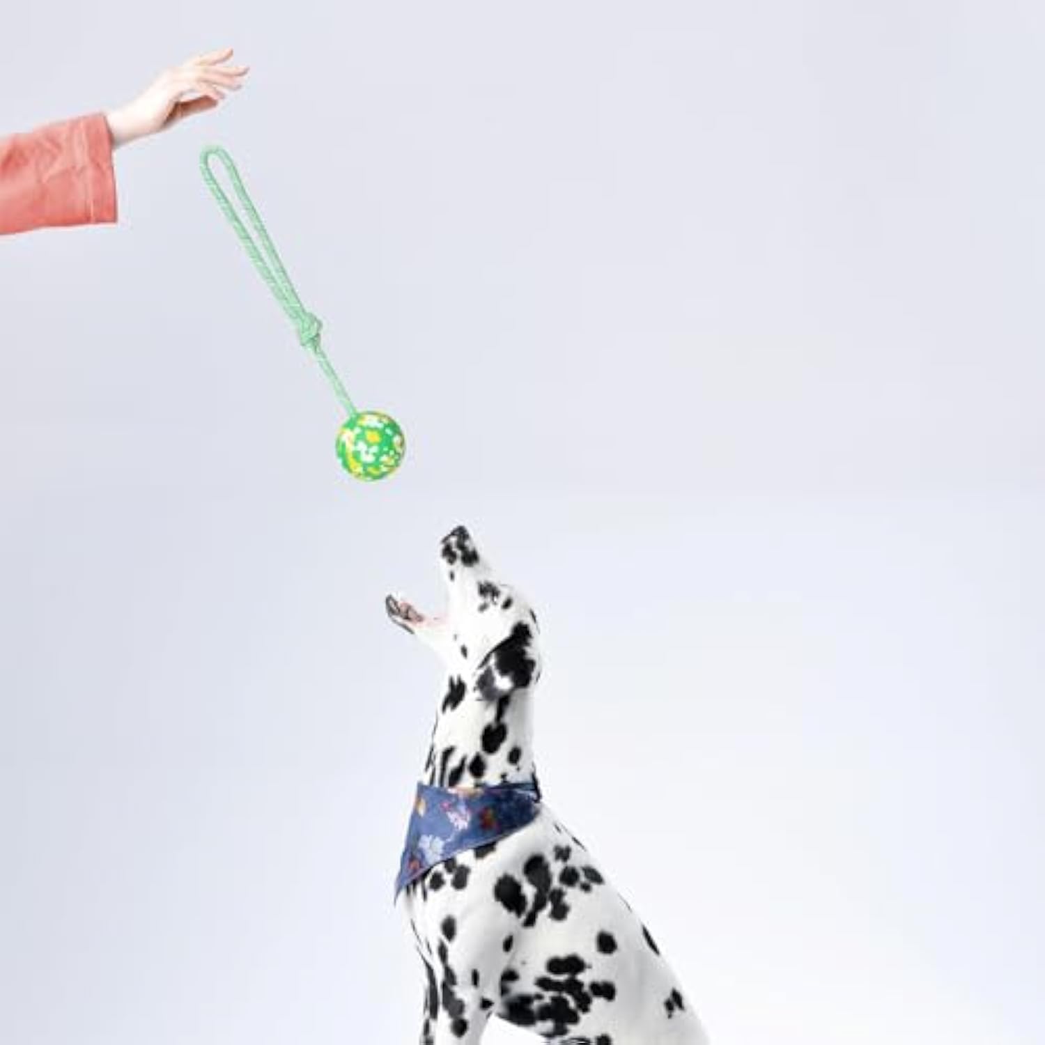 KFX-8048829 Interactive Dog Toy: Solid Rubber Ball on Rope for Training, Fetching, Tug of War - Ideal for Medium and Small Dogs