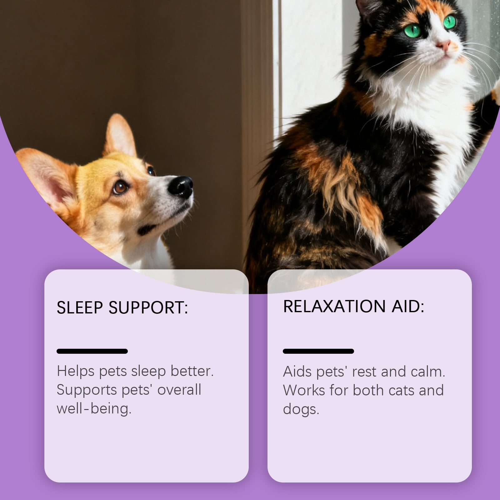 KFX-8056253 Gentle Care Drops for Cats and Dogs - Nourishing and Soothing Daily Support