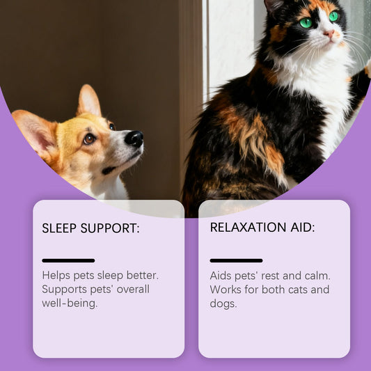 KFX-8056253 Gentle Care Drops for Cats and Dogs - Nourishing and Soothing Daily Support