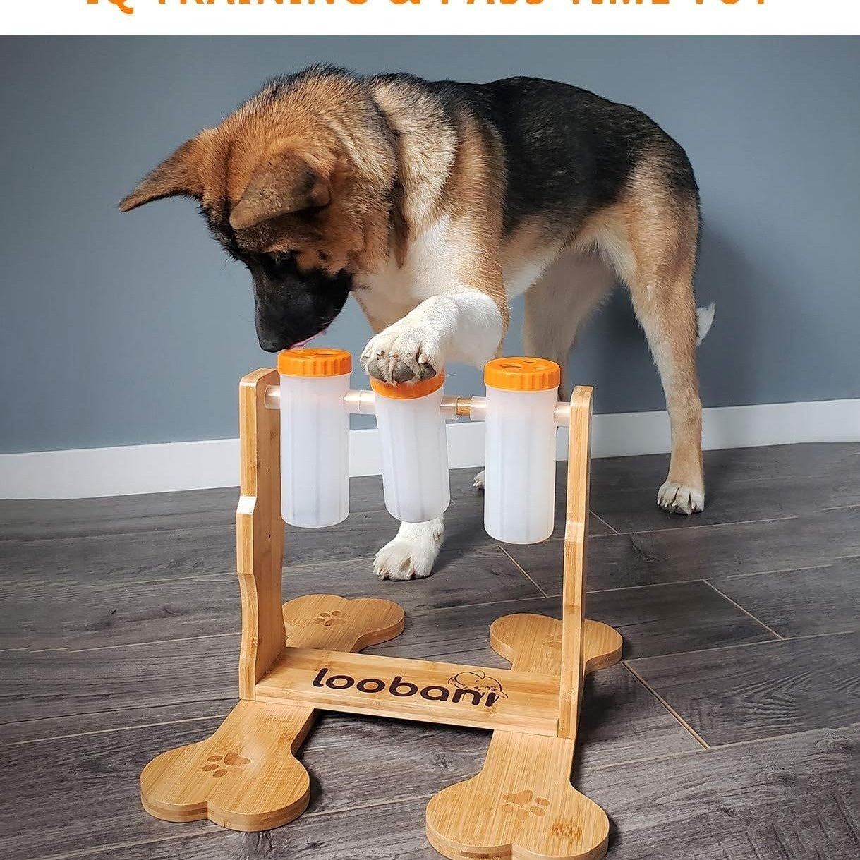 KFX-8060989 Interactive Wooden Dog Puzzle Toy - Snack Dispenser Feeder for Pets