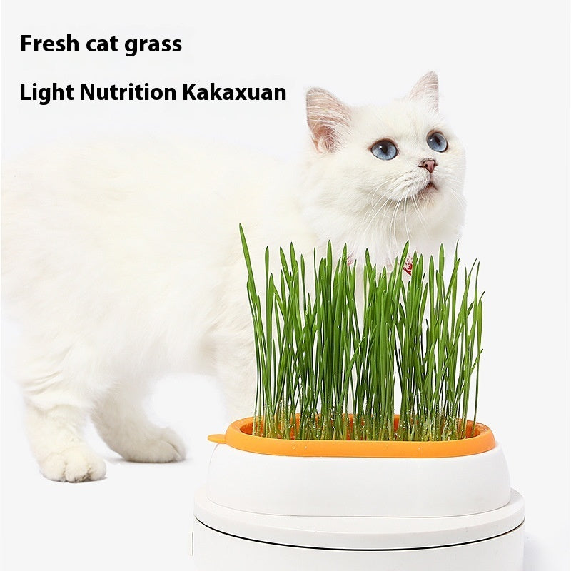 KFX-8062141 Hydroponic Cat Grass Planter with Wheat Seed Basin - Soil-Free, Available in White, Green, Red