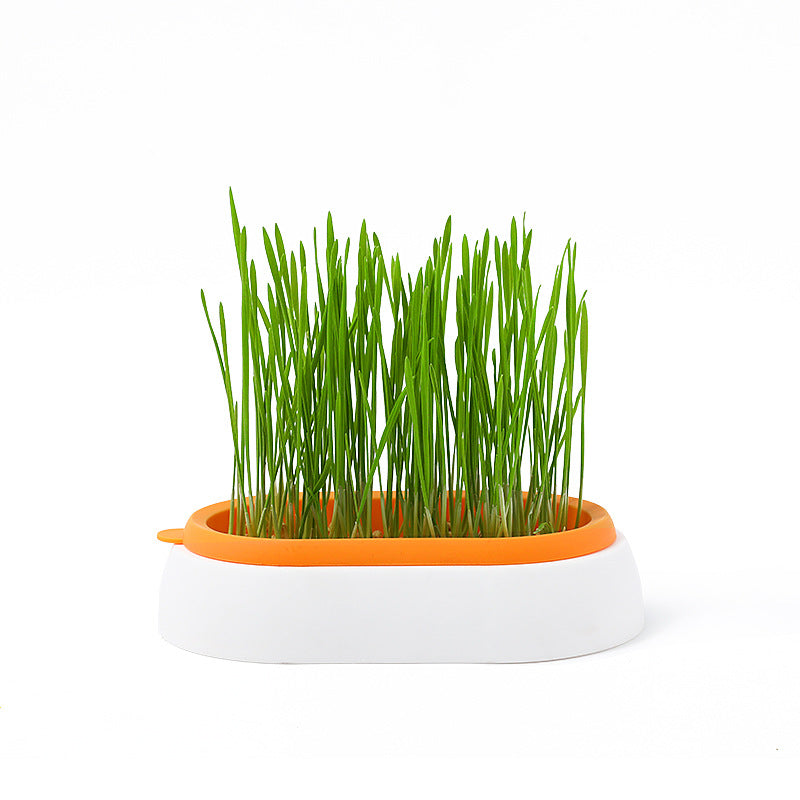 KFX-8062141 Hydroponic Cat Grass Planter with Wheat Seed Basin - Soil-Free, Available in White, Green, Red