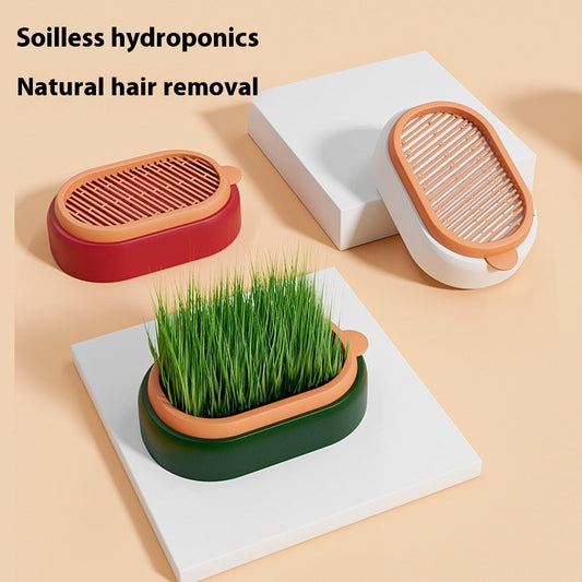 KFX-8062141 Hydroponic Cat Grass Planter with Wheat Seed Basin - Soil-Free, Available in White, Green, Red