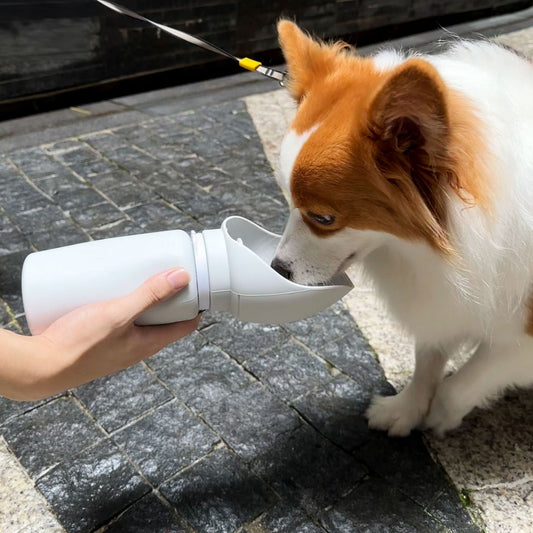 KFX-8067773 Portable Silicone Water Bottle for Pets - Large Capacity Dog Drinking Cup, Foldable & Lightweight