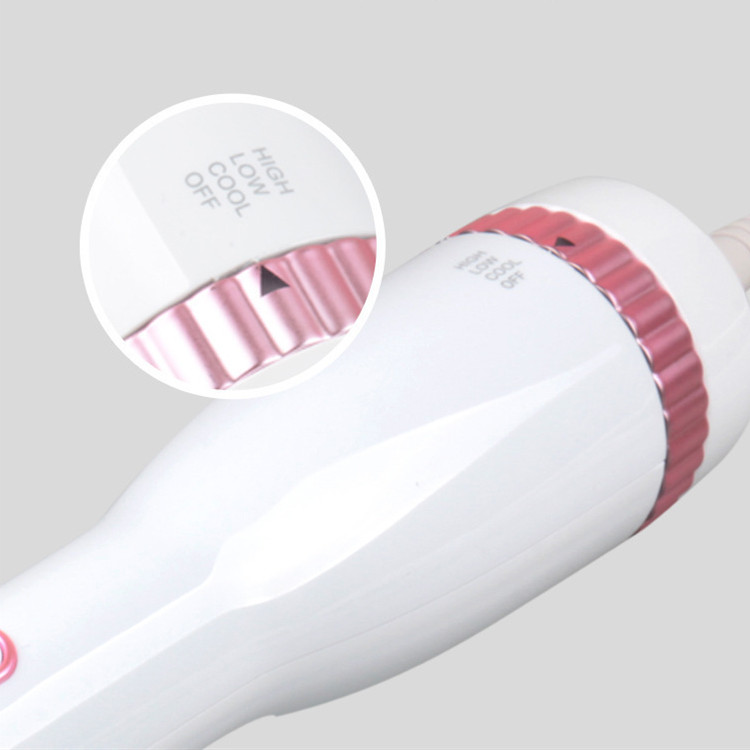 KFX-8073277 Multifunctional Pet Hair Dryer and Straightening Comb with Hot/Cold Air and Noise Reduction