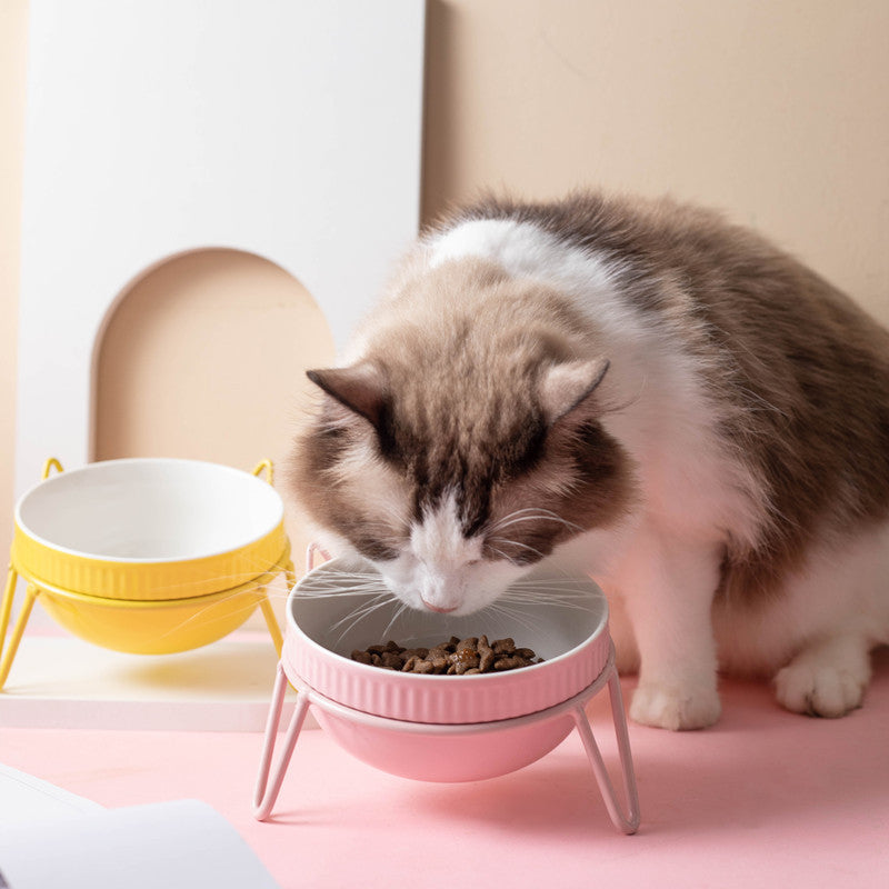 KFX-8073661 Ceramic Pet Bowl with High Foot for Neck Protection - Multiple Colors and Designs Available