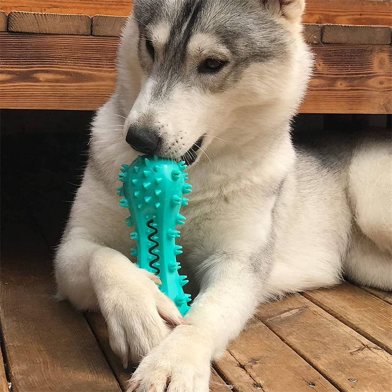 KFX-8074941 Durable Rubber Molar Stick for Small to Medium Aggressive Dogs - Cleans Teeth and Relieves Anxiety
