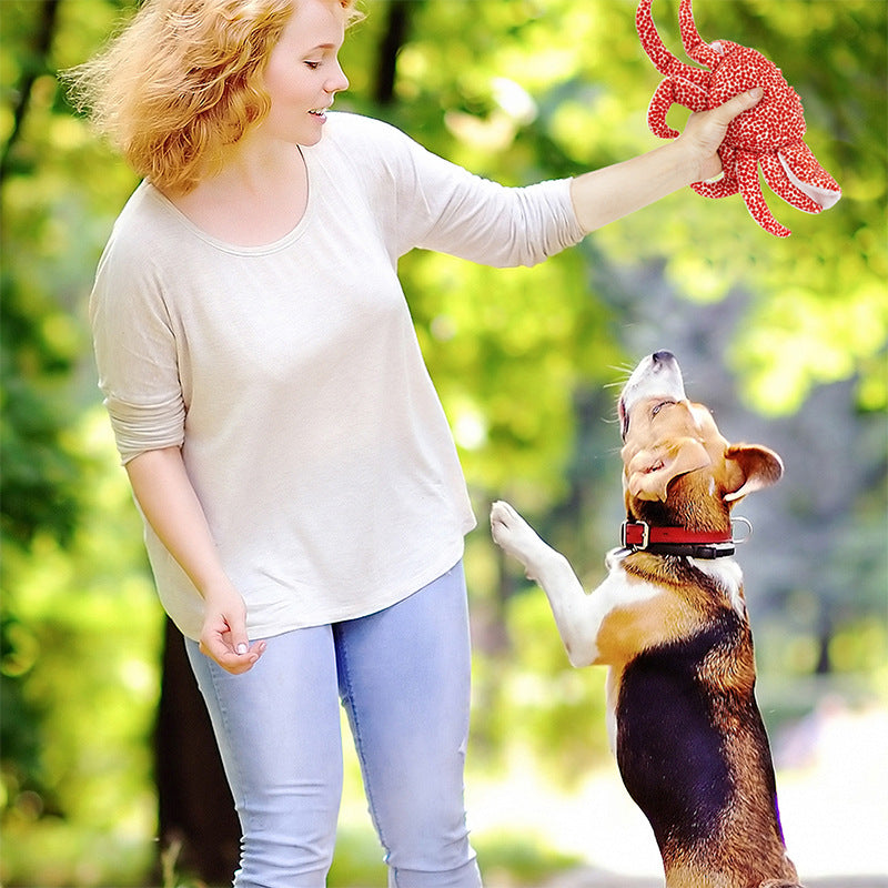 KFX-8077117 Vocal Plush Pet Toy - Bite-Resistant Seahorse & King Crab with Interactive Sounds