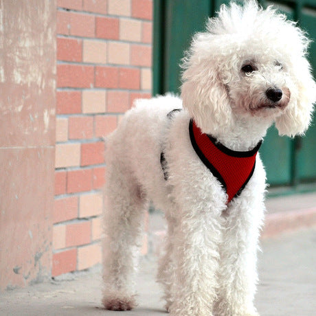 KFX-8082493 Small Dog Vest-Style Walking Collar in Multiple Colors and Sizes