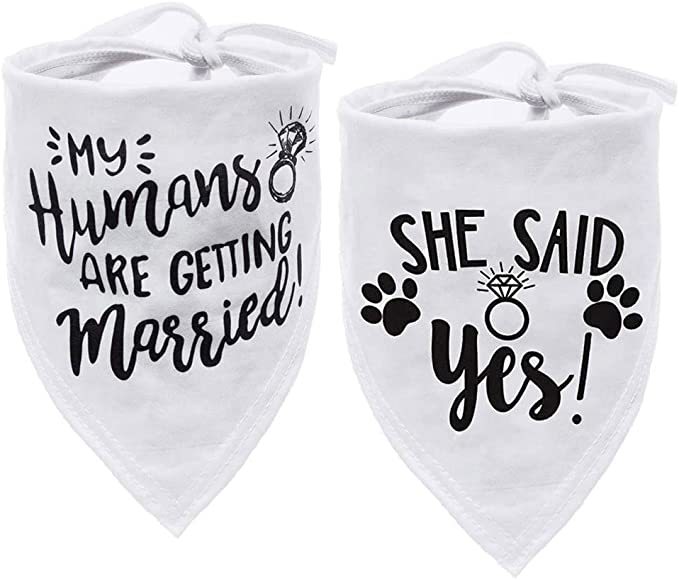 KFX-8083773 Triangle Pet Scarf for Dogs and Cats - Geometric Polyester Bandana for All Seasons