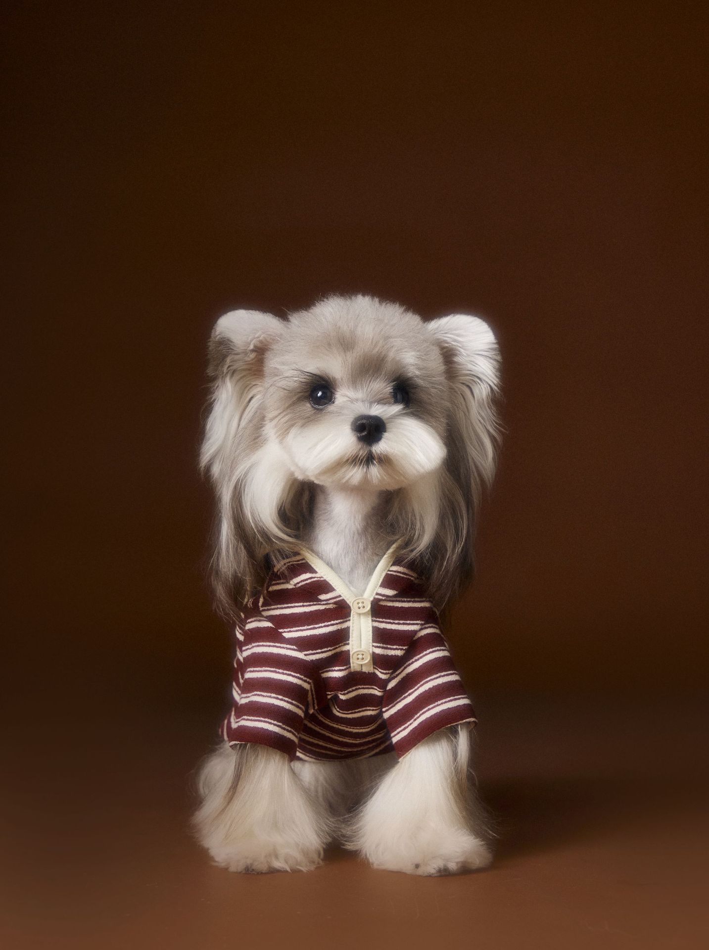 KFX-8087741 Striped Embroidered Sailor Collar Sweatshirt for Pets - Coffee and Red, Sizes XS to XXL