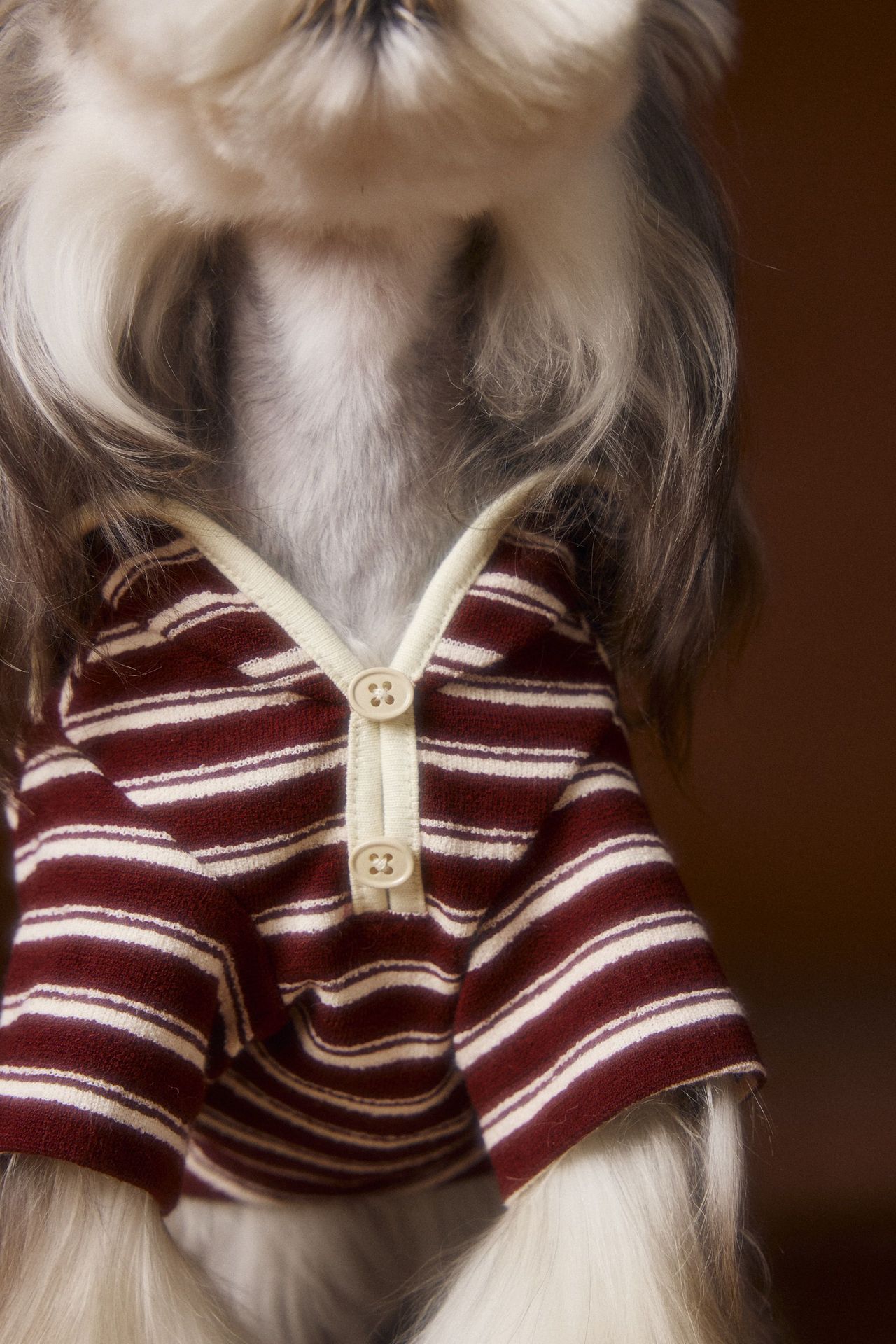 KFX-8087741 Striped Embroidered Sailor Collar Sweatshirt for Pets - Coffee and Red, Sizes XS to XXL