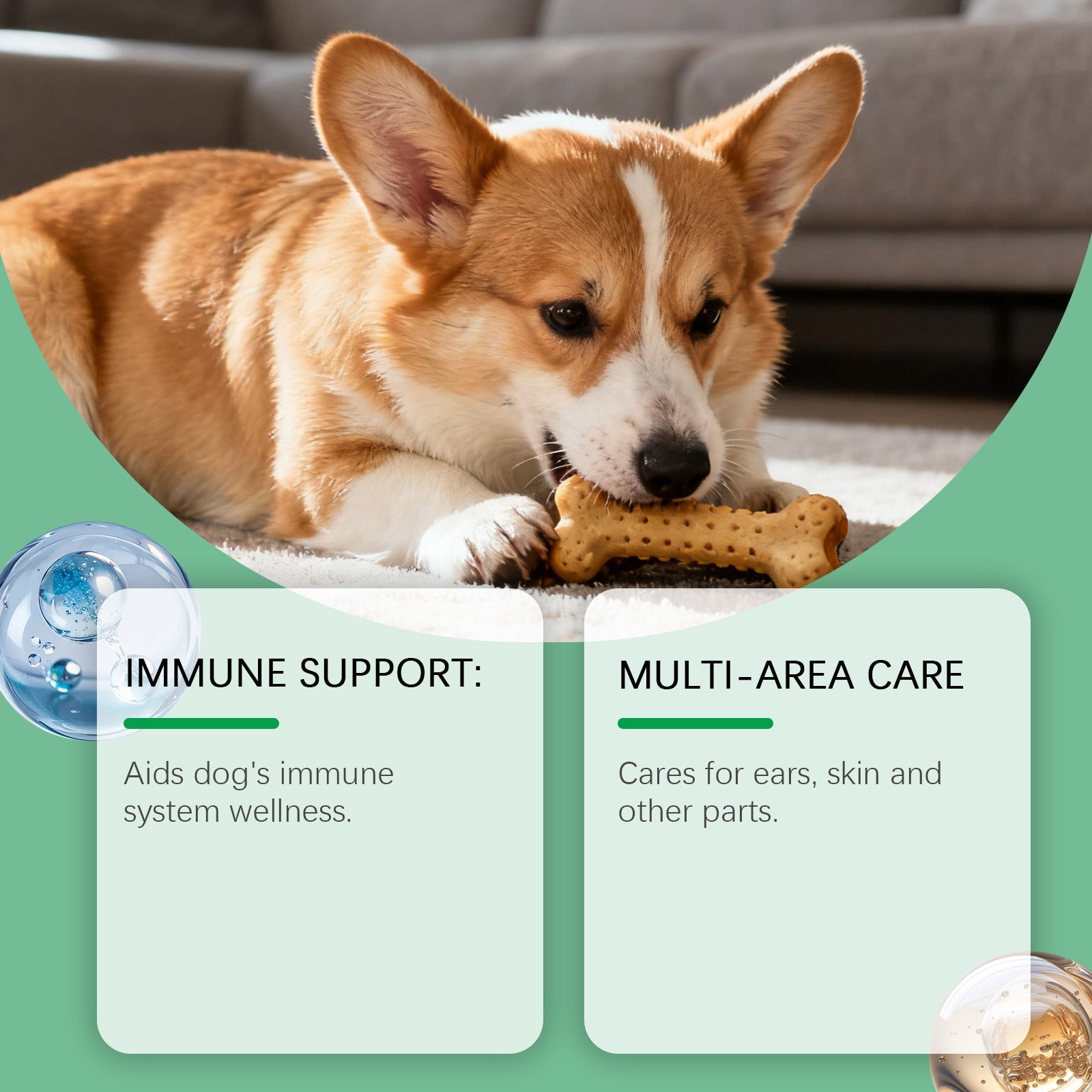 KFX-8089021 Immune Support Herbal Drops for Dogs with Cranberry, Echinacea, and Oregano Extract
