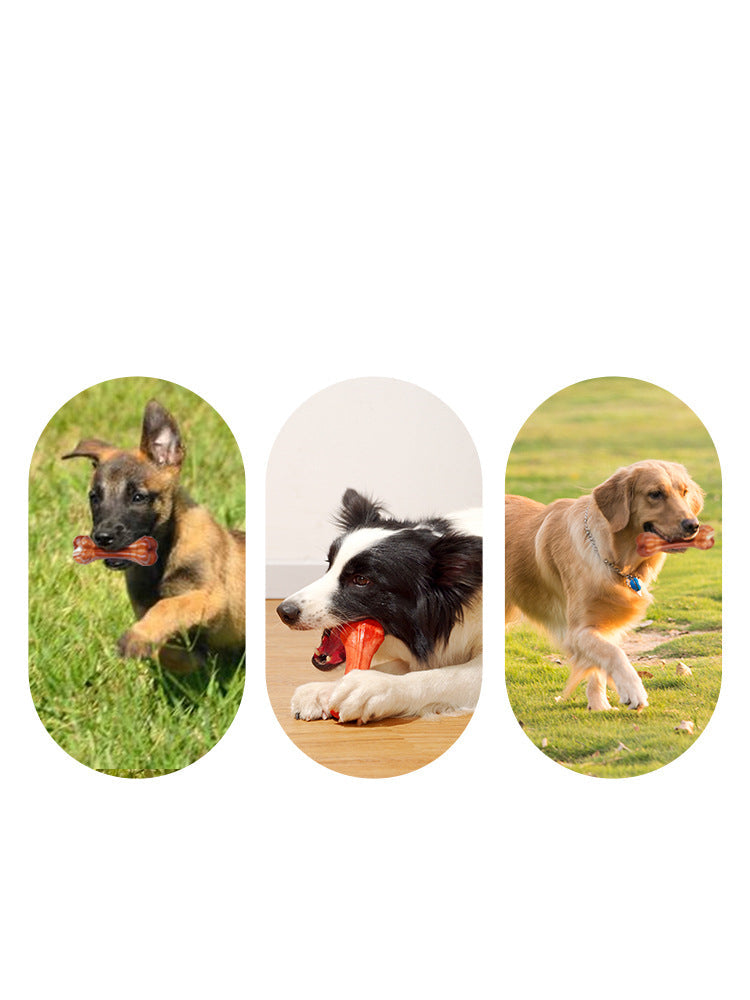 KFX-8099517 Bite-Resistant Rubber Dog Chew Toy with Meat Aroma – Available in Large, Medium, and Small Sizes
