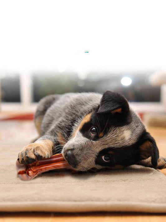 KFX-8099517 Bite-Resistant Rubber Dog Chew Toy with Meat Aroma – Available in Large, Medium, and Small Sizes