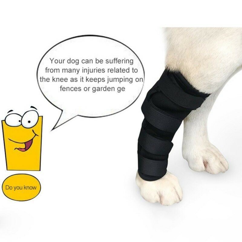 KFX-8101309 Dog Legging Support Sheath for Injury Recovery and Wound Protection