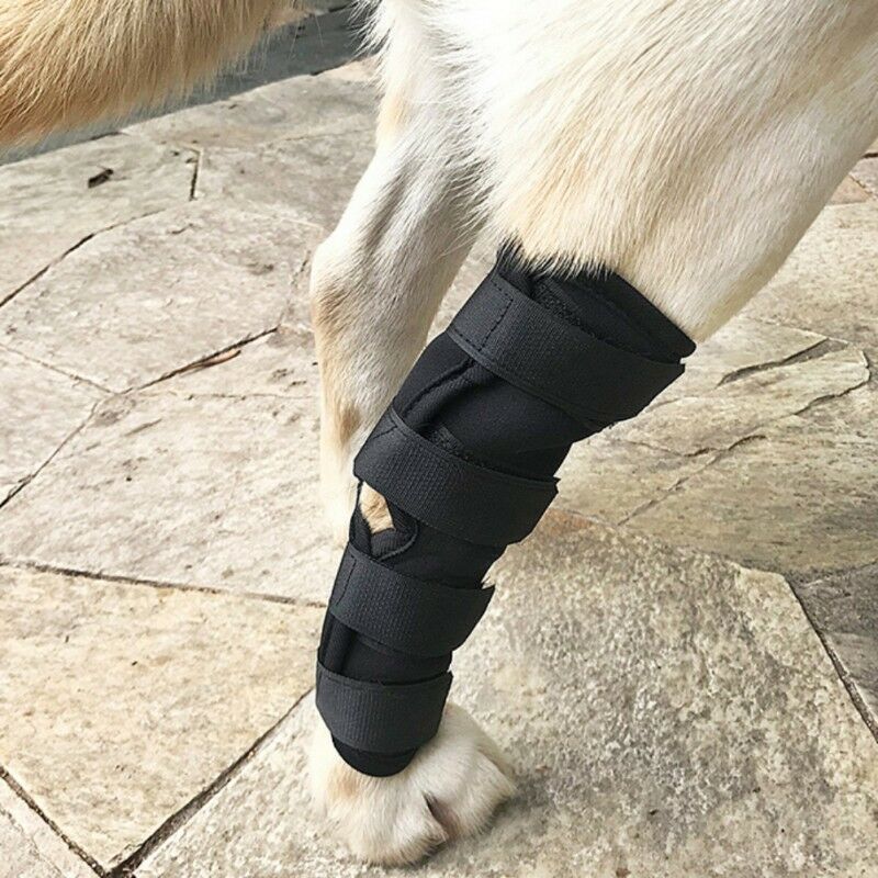 KFX-8101309 Dog Legging Support Sheath for Injury Recovery and Wound Protection