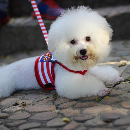 KFX-8103741 Pet Chest Strap Set with Leash - Cloth Material, Blue and Red, Sizes XS to XL