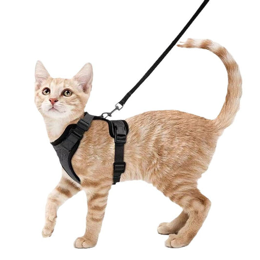 KFX-8104253 Adjustable Anti-Escape Cat Leash in Multiple Colors: Sky Blue, Black, Orange, Red, Lake Blue, Dark Blue, Pink, Purple, Yellow, Gray
