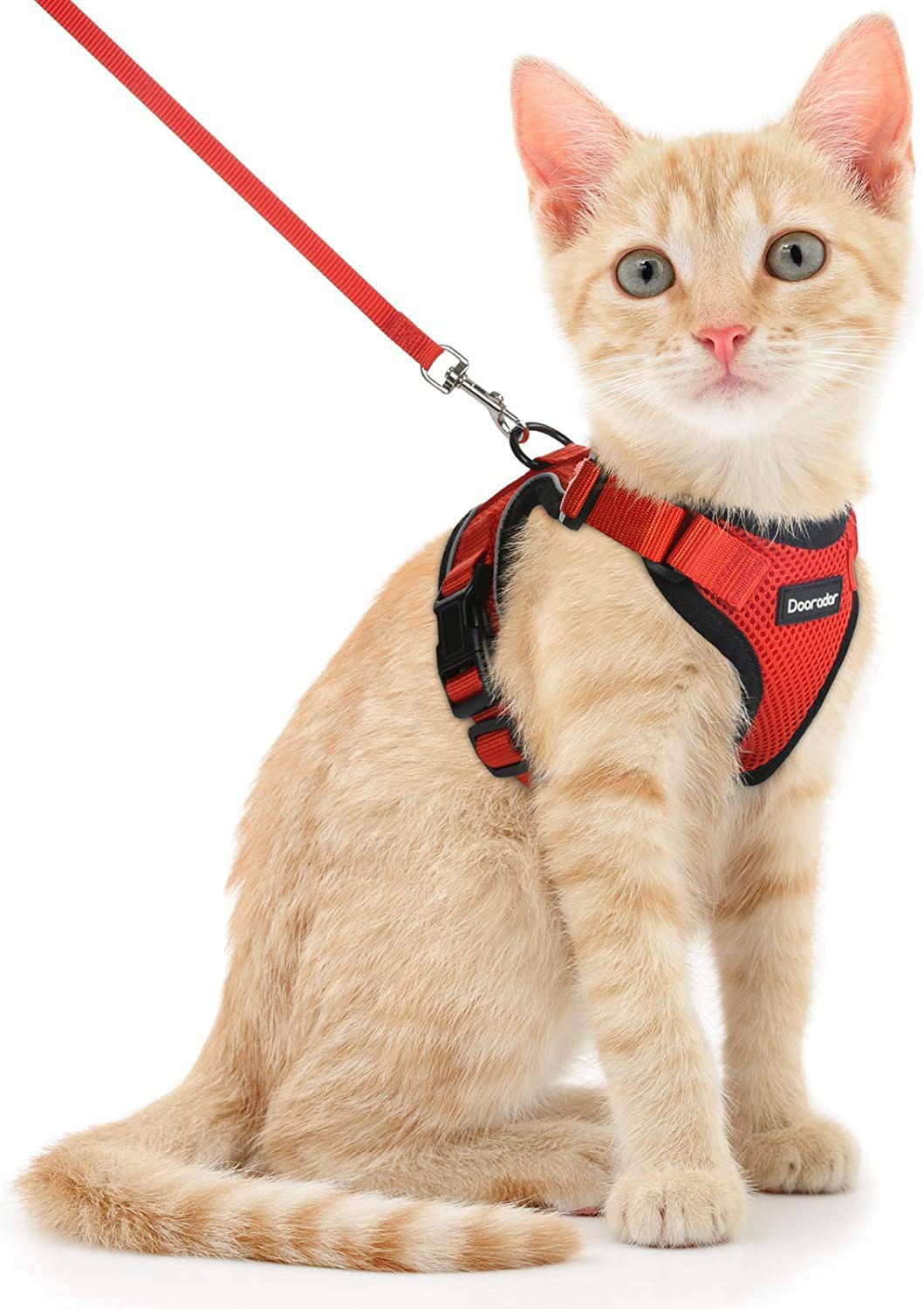 KFX-8104253 Adjustable Anti-Escape Cat Leash in Multiple Colors: Sky Blue, Black, Orange, Red, Lake Blue, Dark Blue, Pink, Purple, Yellow, Gray