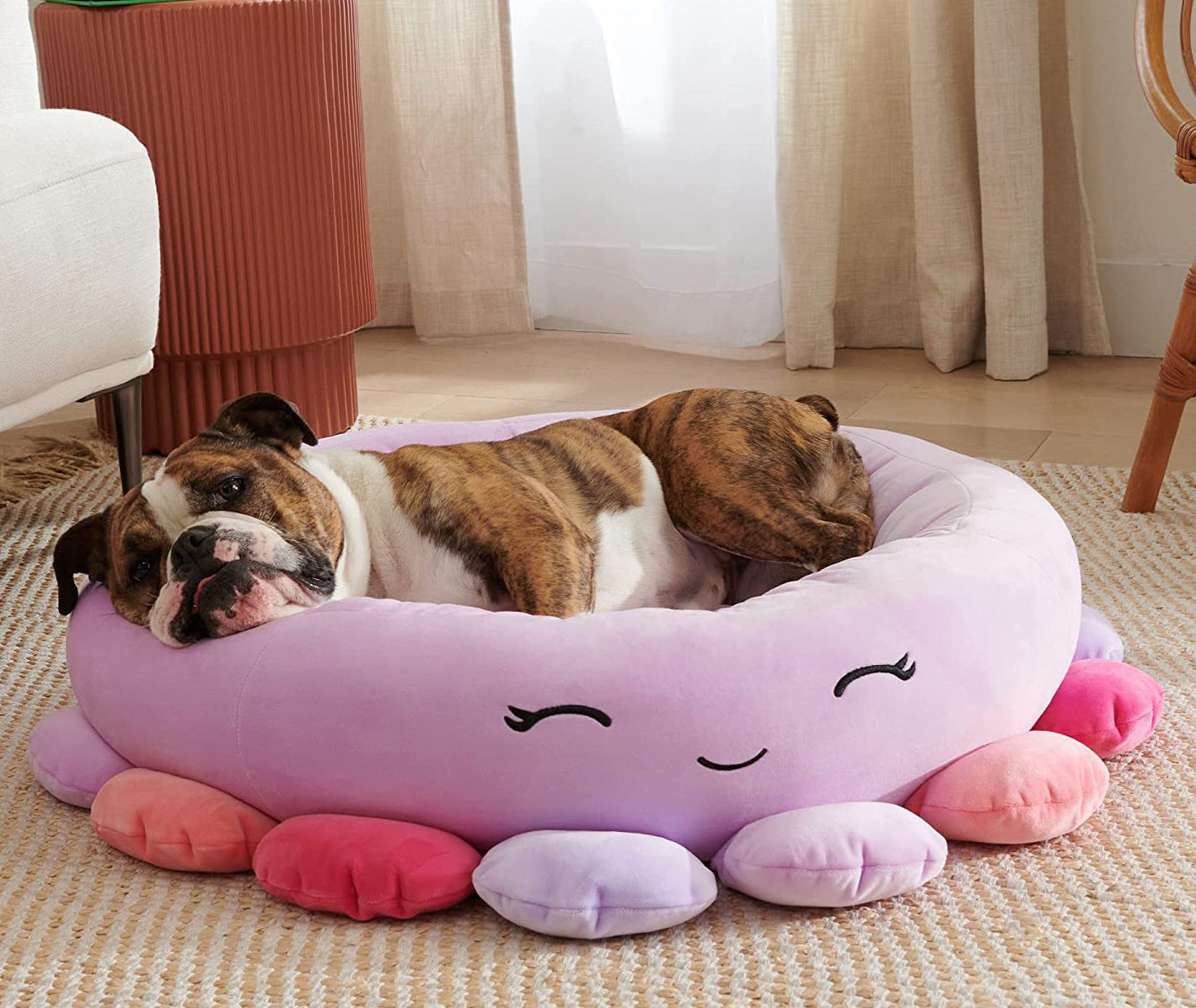 KFX-8107709 Large Ultrasoft Plush Shark and Maui Pineapple Pet Beds for Cats and Dogs