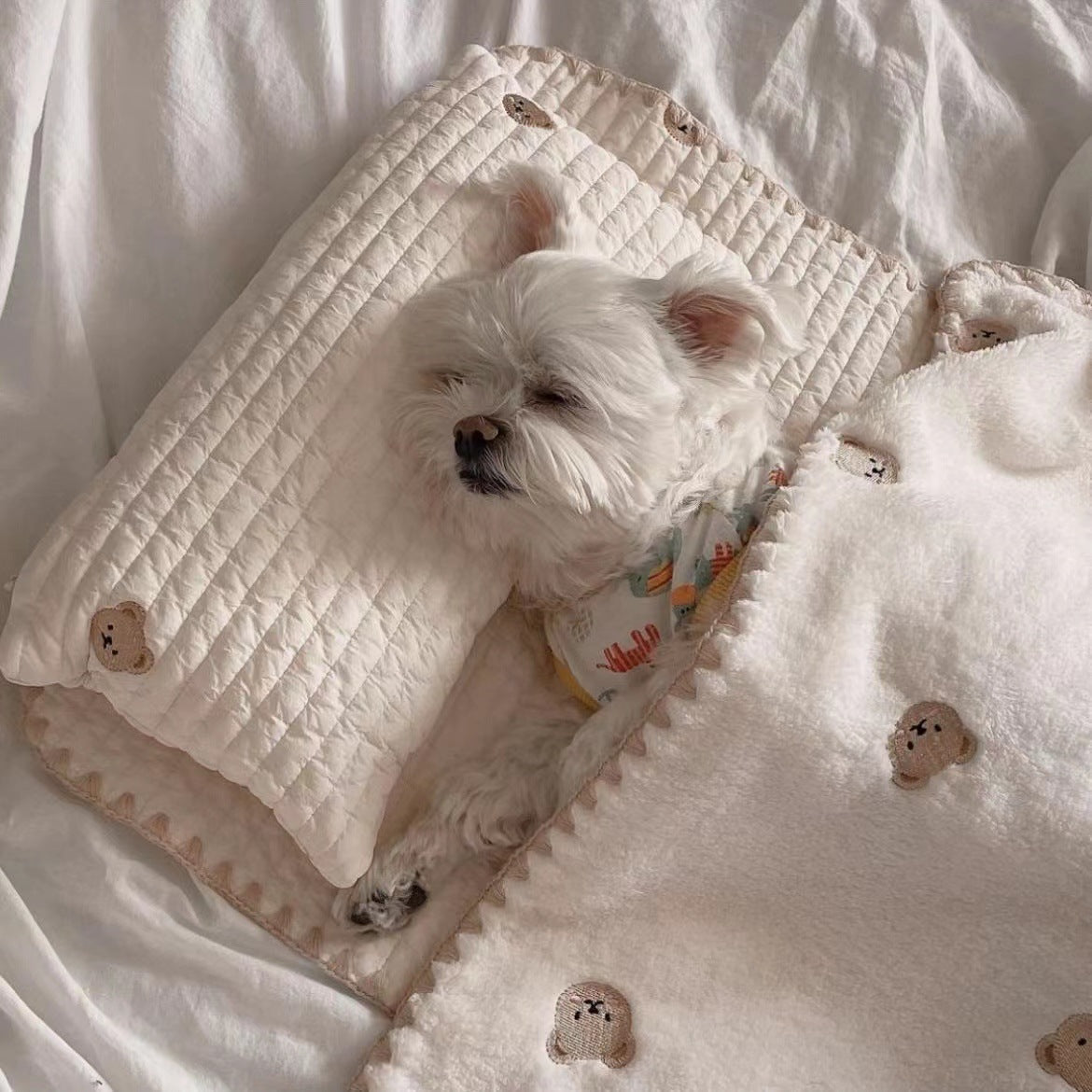 KFX-8114621 Removable and Washable Dog Bed Set with Pillow, Mattress, and Comforter in Simple Bear Design