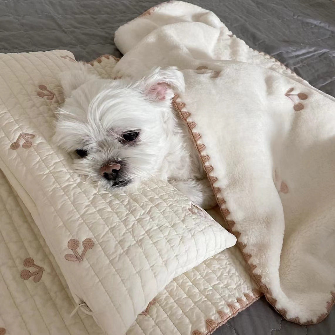 KFX-8114621 Removable and Washable Dog Bed Set with Pillow, Mattress, and Comforter in Simple Bear Design