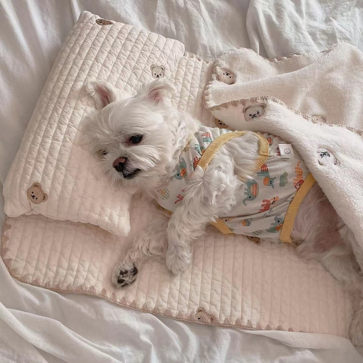 KFX-8114621 Removable and Washable Dog Bed Set with Pillow, Mattress, and Comforter in Simple Bear Design