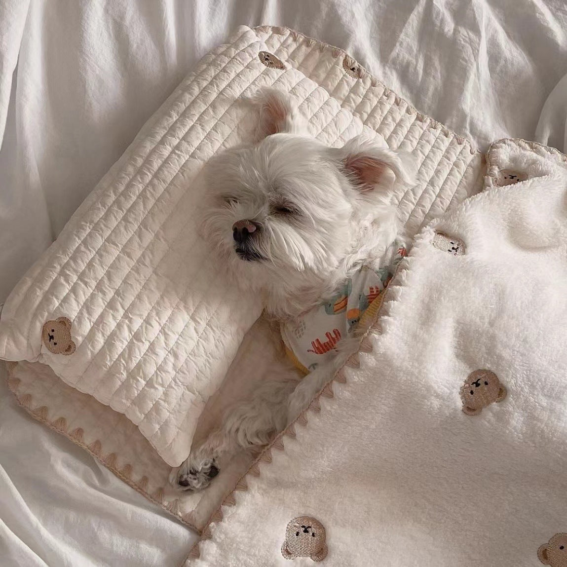 KFX-8114621 Removable and Washable Dog Bed Set with Pillow, Mattress, and Comforter in Simple Bear Design