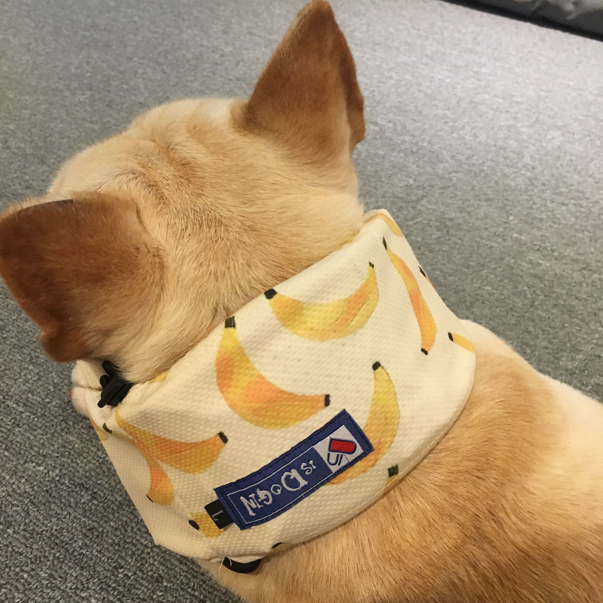 KFX-8116541 Cooling Scarf for Dogs - Heat Relief with Multiple Ice Pack Options in Various Colors