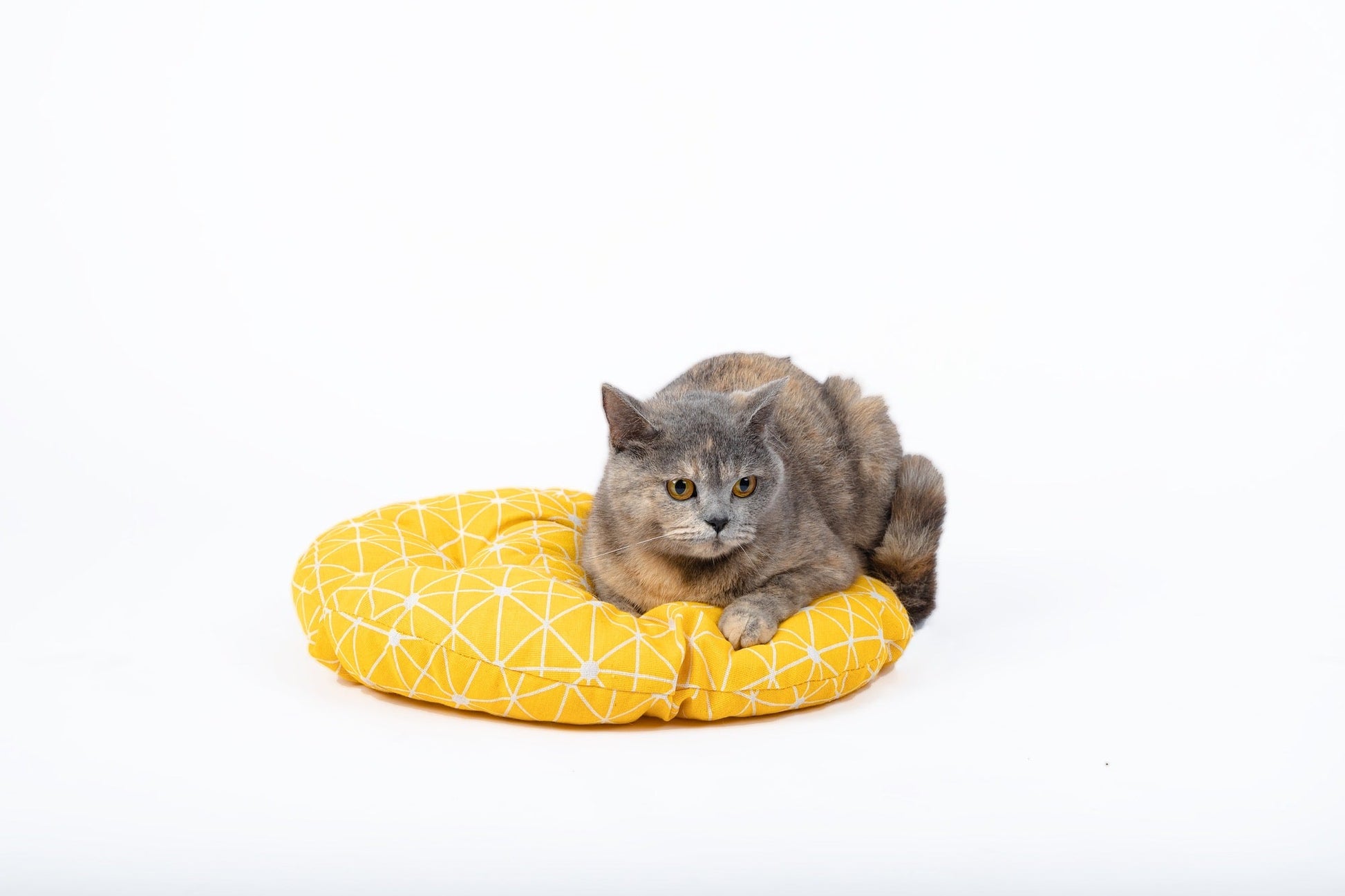 KFX-8119997 Woven Round Cat Litter Bed Hanging Basket for Small and Large Cats