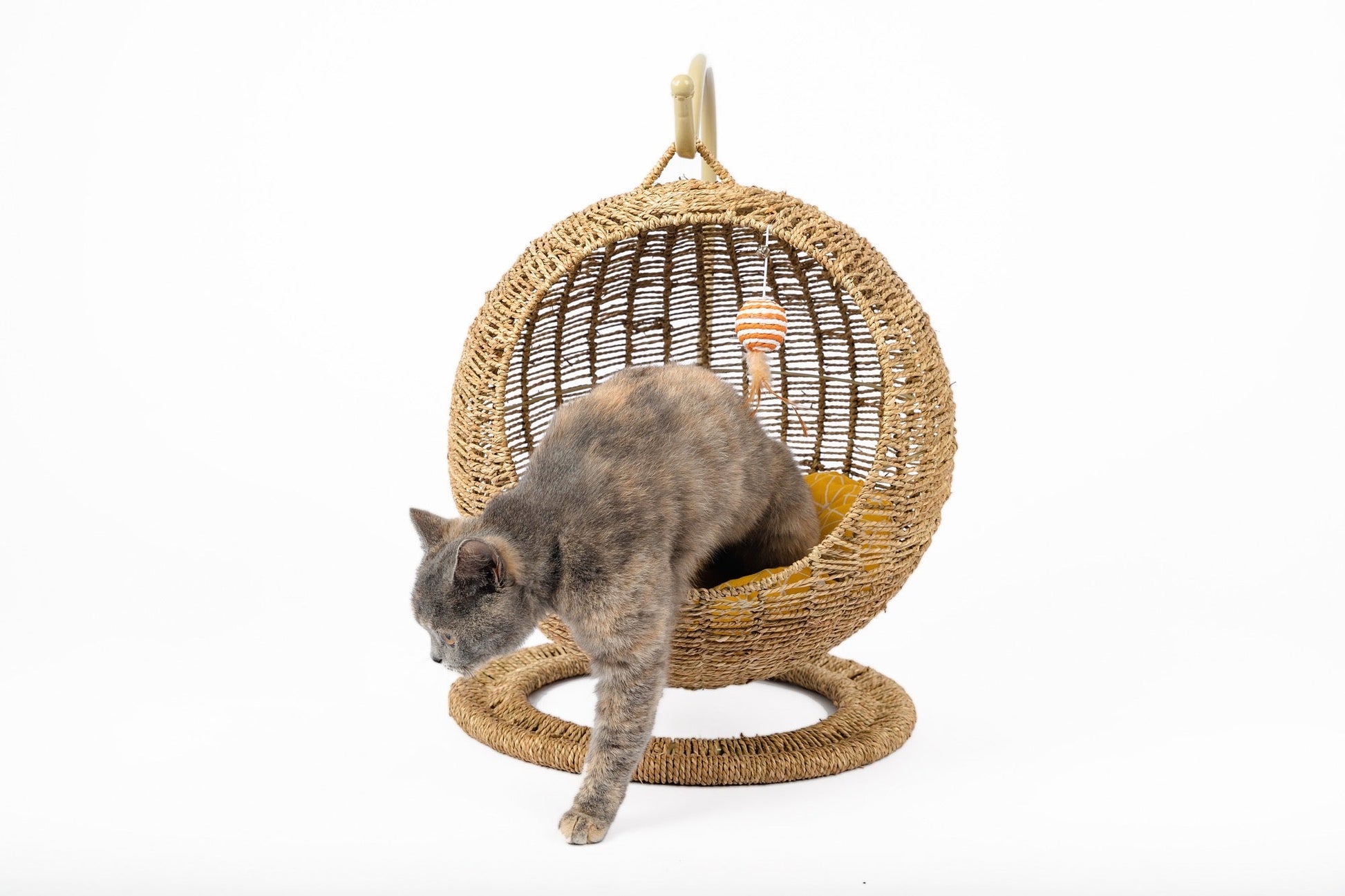 KFX-8119997 Woven Round Cat Litter Bed Hanging Basket for Small and Large Cats