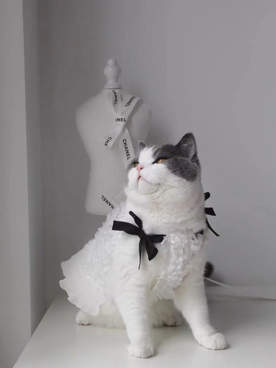 KFX-8120509 Flower Skirt for Pets in Macaron and Classic Black & White - Available in XS to XL Sizes