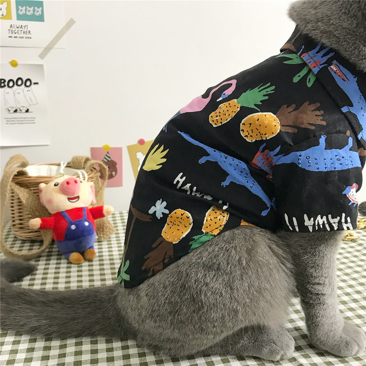 KFX-8125885 Summer Cat Shirt with Matching Straw Hat, Necklace, and Glasses - Thin and Hair-Fall Preventing Outfit