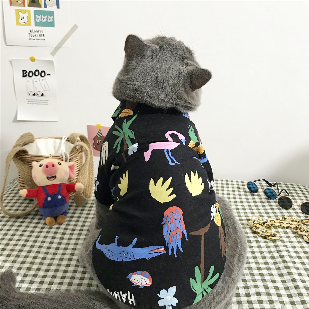 KFX-8125885 Summer Cat Shirt with Matching Straw Hat, Necklace, and Glasses - Thin and Hair-Fall Preventing Outfit