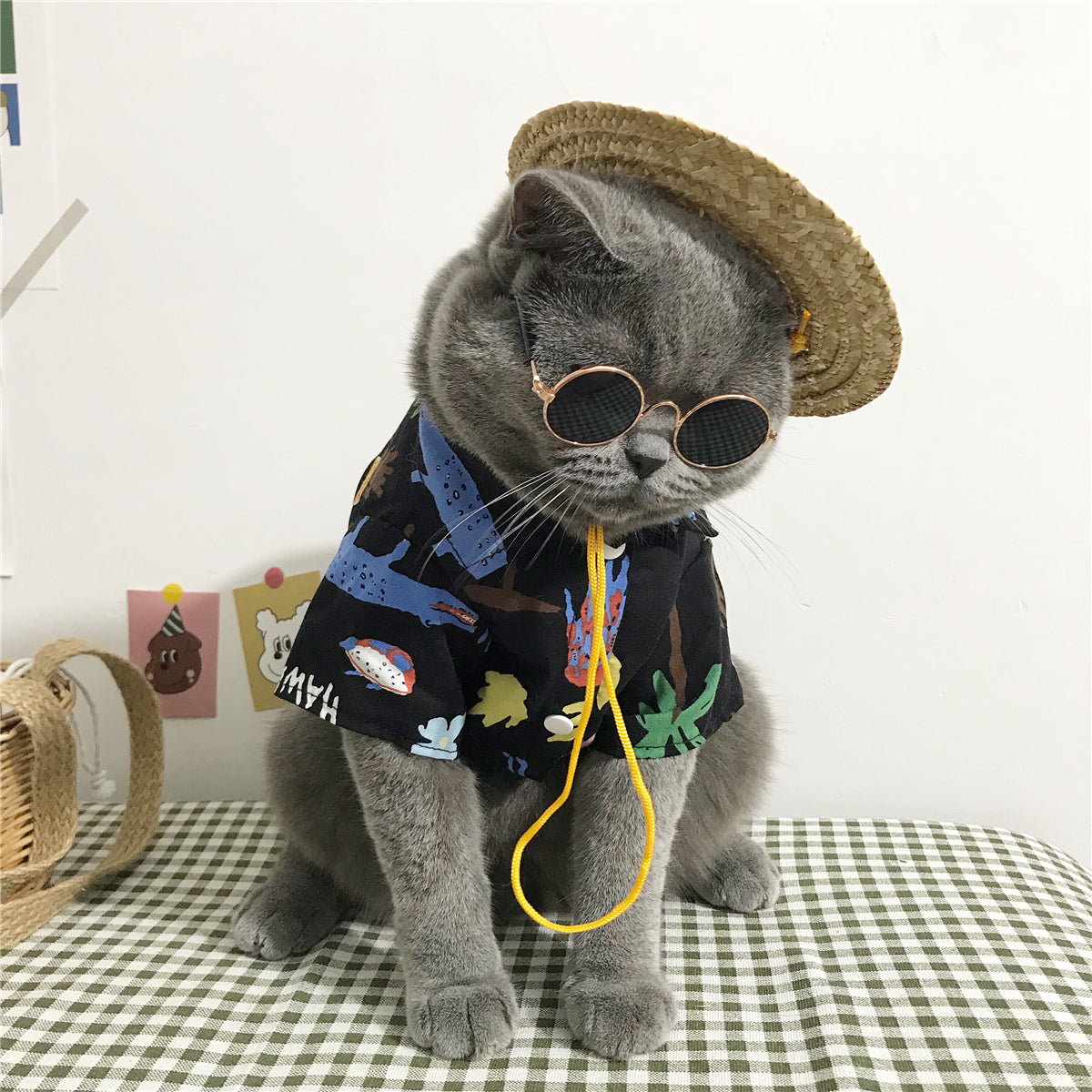 KFX-8125885 Summer Cat Shirt with Matching Straw Hat, Necklace, and Glasses - Thin and Hair-Fall Preventing Outfit