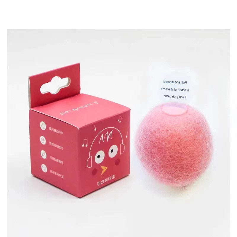 KFX-8126525 Mint and Sound Interactive Cat Toy Balls with Catnip Option