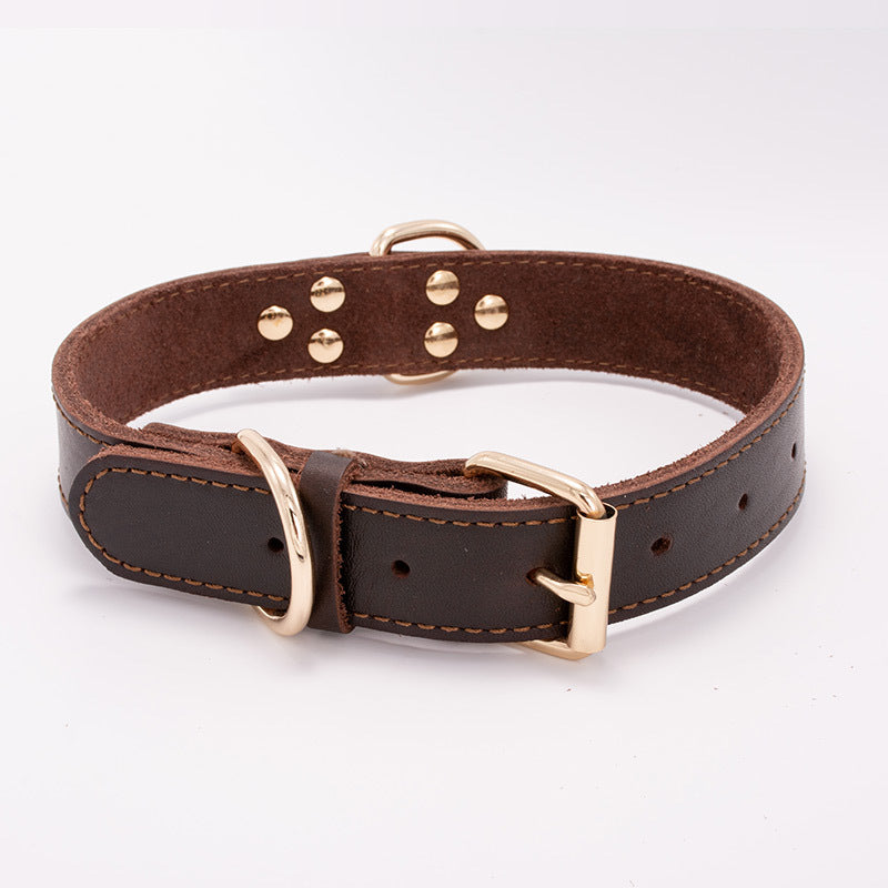 KFX-8129469 Adjustable Dog Collar - Sizes S to L (Neck 28-42 cm) with Varying Widths