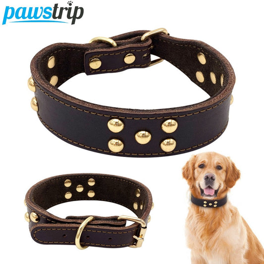 KFX-8129469 Adjustable Dog Collar - Sizes S to L (Neck 28-42 cm) with Varying Widths